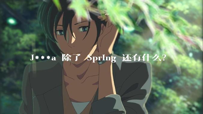 J***a 除了 Spring 还有什么？