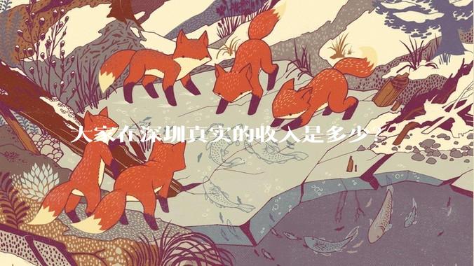 大家在深圳真实的收入是多少？