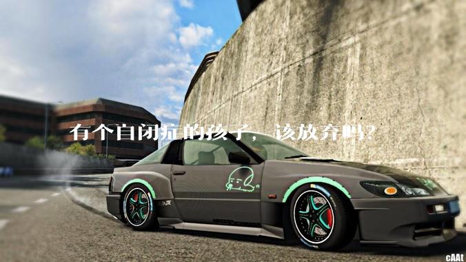 有个自闭症的孩子，该放弃吗？