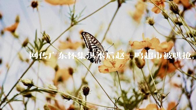 网传广东怀集洪水后赵一鸣超市被哄抢，县***回应相关单位正在核实，若属实哄抢者该承担哪些法律责任？