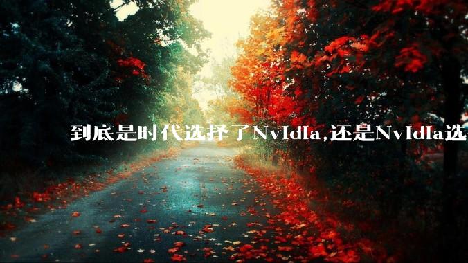 到底是时代选择了Nvidia,还是Nvidia选择了时代？