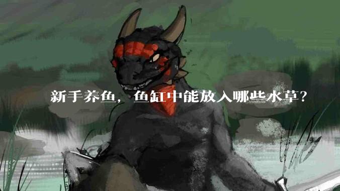 新手养鱼，鱼缸中能放入哪些水草？
